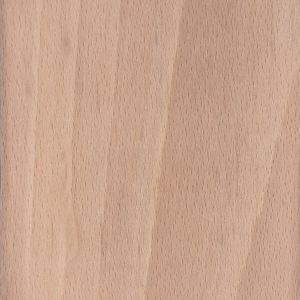 BEECH
